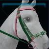 Valedale bridle