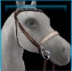 Orchard bridle
