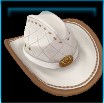 Cactus Country hat