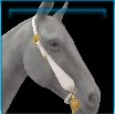 Cactus Country Western bridle