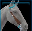 Simmental Western bridle