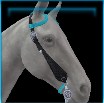 Holstein Western bridle