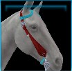Hereford Western bridle