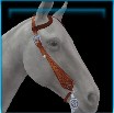 Highland Western bridle