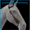 Shorthorn Western bridle