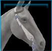 Charolais Western bridle