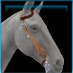 Jersey Western bridle