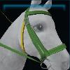 Fort Pinta bridle