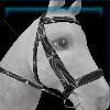 Spider bridle