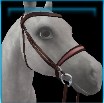 World Class English bridle