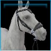 GH SaddleWestern Allround 111 Name