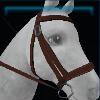 Dark Fall bridle