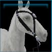 Undead Dream medallion bridle