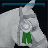 Silver ribbon