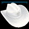 Starlit Showmanship hat