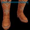 Starlit Showmanship boots