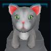 Korat