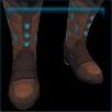 Texas Turquoise boots