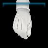 Guard's full dress gloves