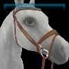 Galway Shamrock English bridle