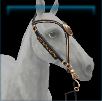 Fierce Feline medallion bridle