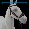 Capital Class hackamore