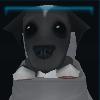 Shy Crossbreed puppy