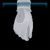 Sapphire JCC uniform gloves
