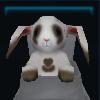 Jumpy Bunny