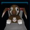 Smart bunny