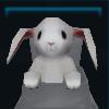 Kind Rabbit