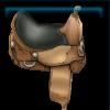 Handsome expert saddle