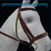 Fall bridle