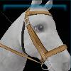 November bridle