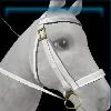 Snow bridle