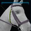Silverglade bridle