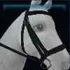 Black Jorvik bridle