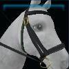 Green and black Jorvik bridle