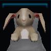 Happy bunny