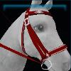 Christmas bridle