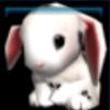 Felicity's rabbit