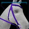 Junior western bridle