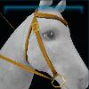 Standard western bridle