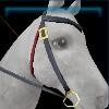 Woodland western bridle
