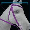 Fort Pinta western bridle