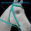Moon western bridle