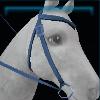 Firgrove western bridle