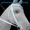 Mountain western bridle