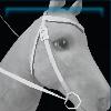 Vineyard western bridle