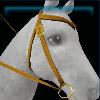 Stable western bridle